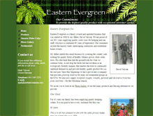 Tablet Screenshot of easternevergreen.com